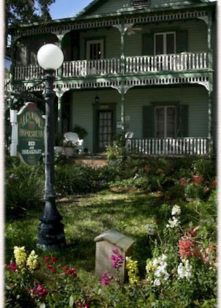 סיינט אגוסטין Alexander Homestead Bed And Breakfast מראה חיצוני תמונה